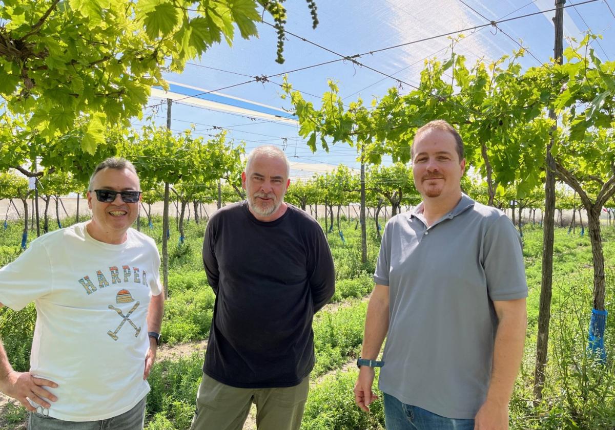 Cultivar en terrenos imposibles