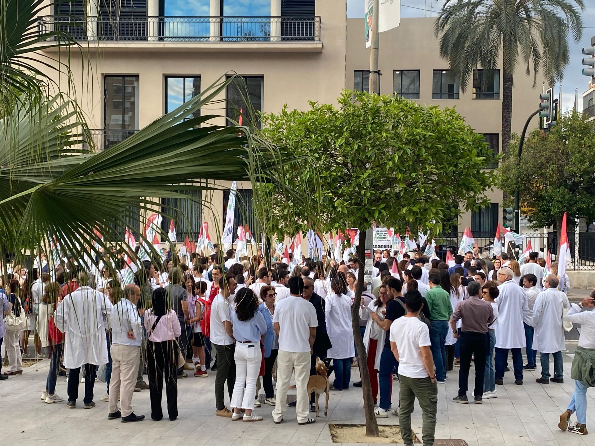 En imágenes, la manifestación de médicos contra el Estatuto Marco