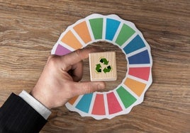 DSM, gestión integral de residuos industriales, descontaminación de suelos y desmantelamiento industrial