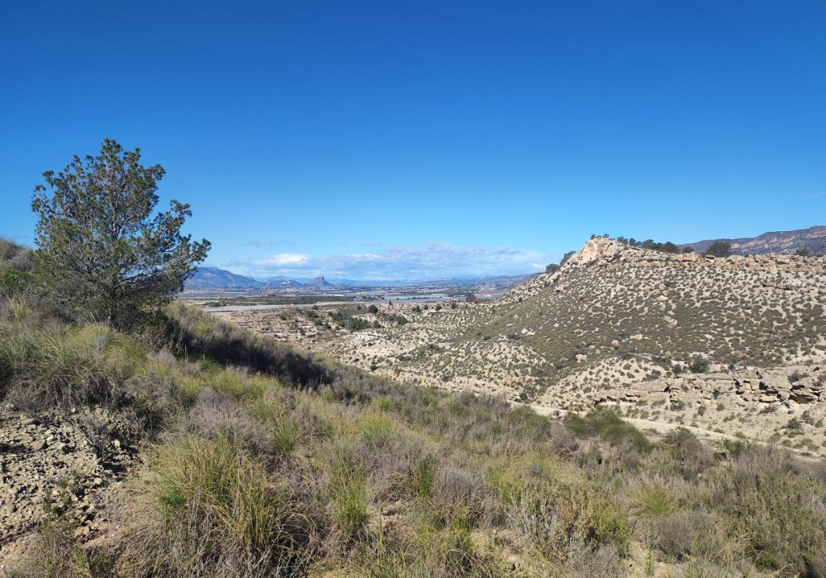Una ruta recorrerá los cinco arrecifes y el aula de el rellano con motivo del geolodía | la verdad