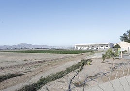 Terrenos de la pedanía de Purias afectados por los planes de riesgo de inundación.