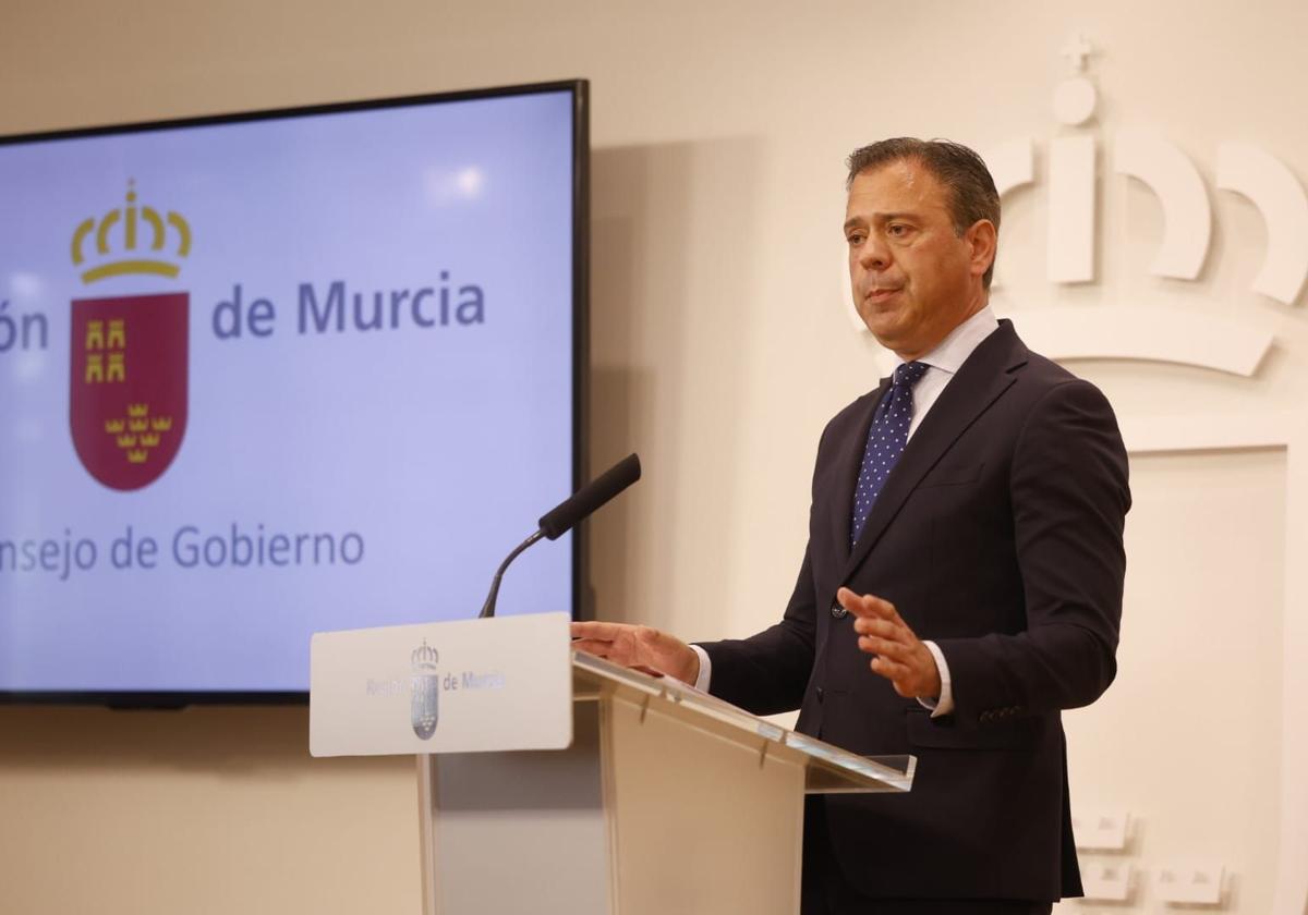 La Comunidad pide al Ministerio mejoras en la «obsoleta e insuficiente» red eléctrica regional