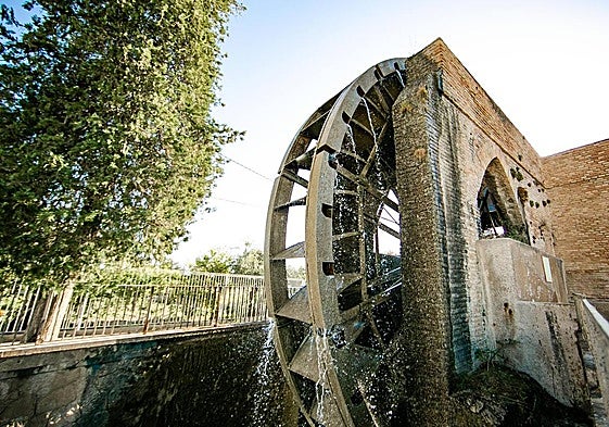 Rueda de La Ñora, sobre la acequia mayor de Aljufía