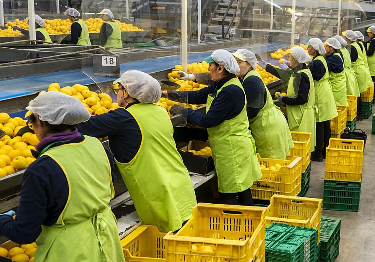 Operarias trabajando en una empresa, en una imagen de archivo.