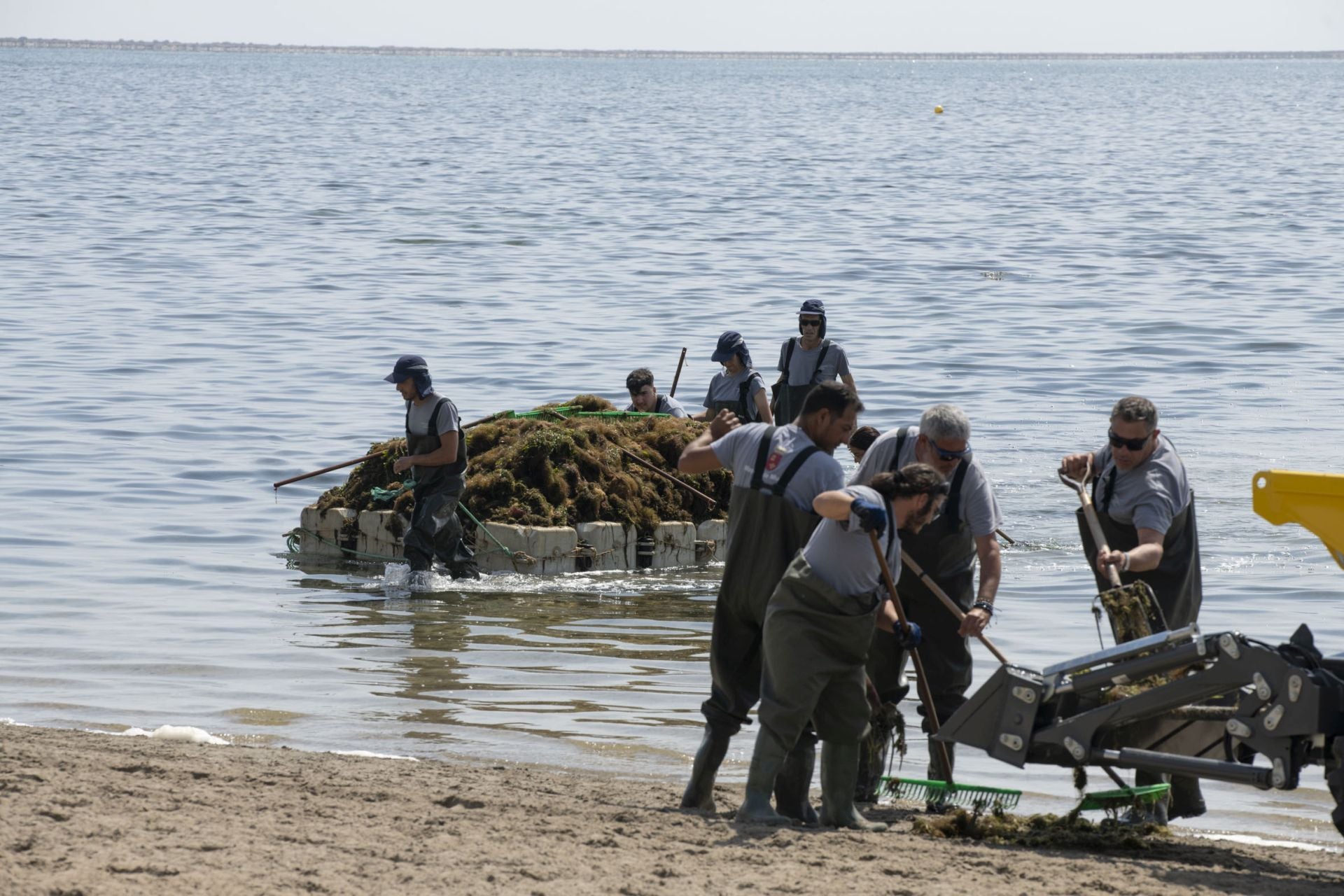 Retirada de biomasa en el Mar Menor, en imágenes