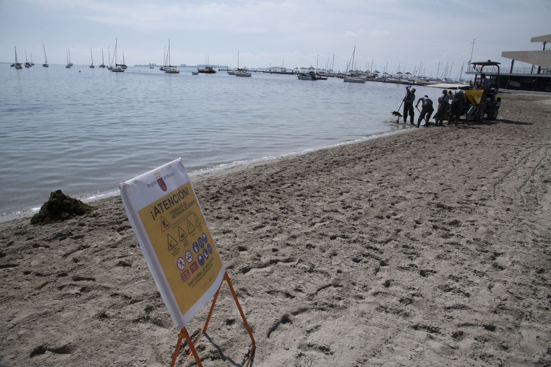 Retirada de biomasa en el Mar Menor, en imágenes