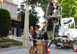 El concejal supervisa la colocación de las nuevas farolas en la alameda de la Constitución.