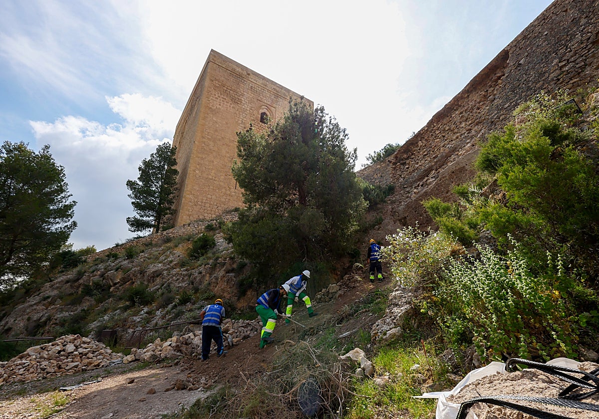 Trabajos de rehabilitación en el entorno de la Torre Alfonsina.