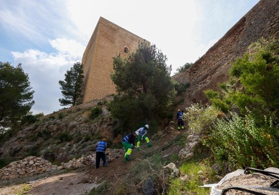 Trabajos de rehabilitación en el entorno de la Torre Alfonsina.