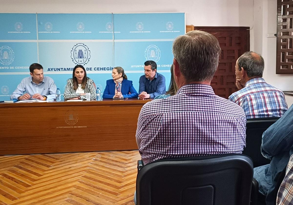 El gobierno se compromete a ayudar a los agricultores de cehegín afectados por las lluvias de marzo | la verdad