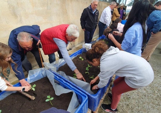 Escolares y mayores cultivando en el huerto escolar del colegio Jesucristo Aparecido, en Moratalla.