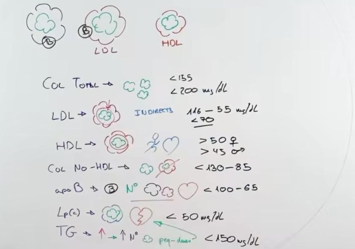 Esta es la manera adecuada de interpretar las analíticas de colesterol