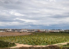 Imagen de archivo de la actual planta desaladora en Torrevieja.