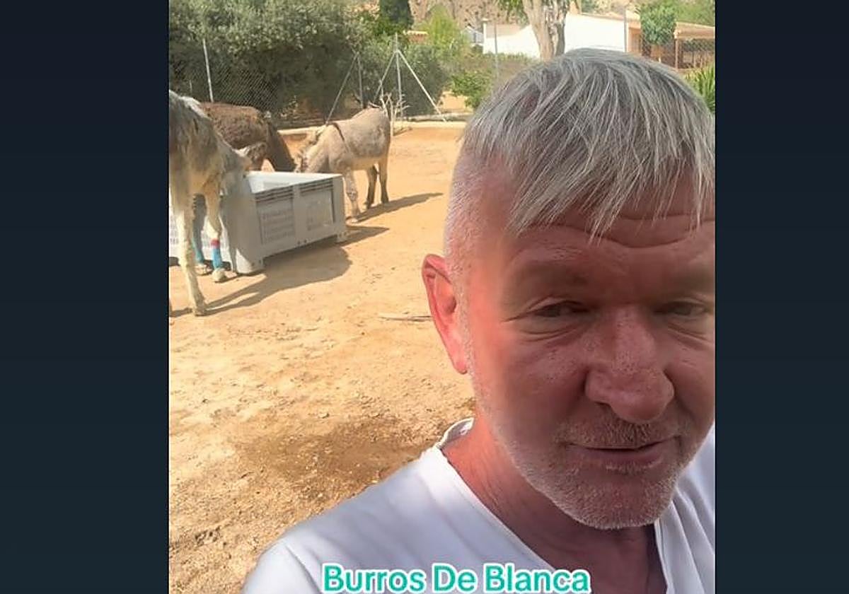 Frame del vídeo de @donkey.rescue.murcia