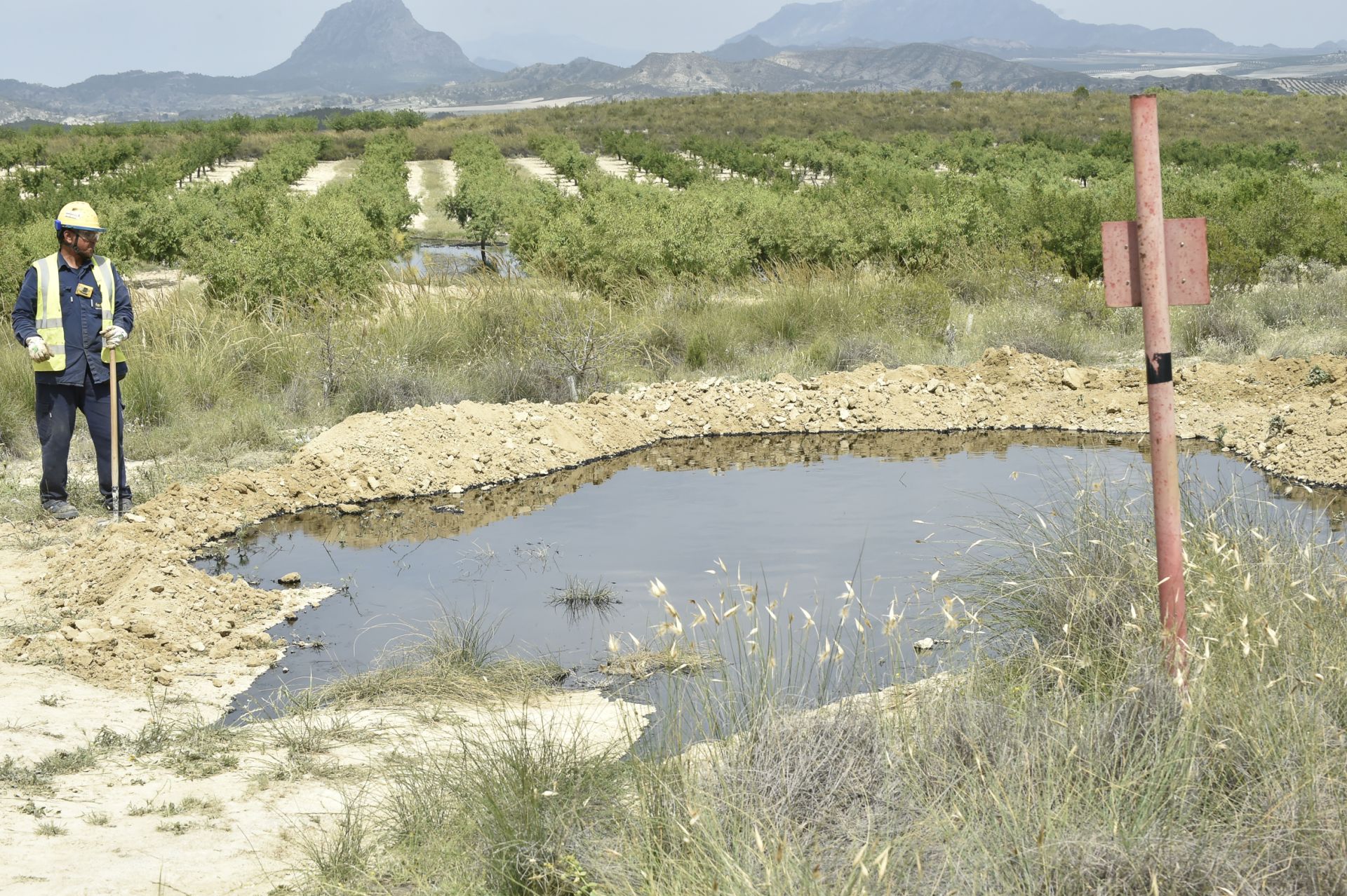 Las imágenes del vertido de petróleo en una finca de Calasparra