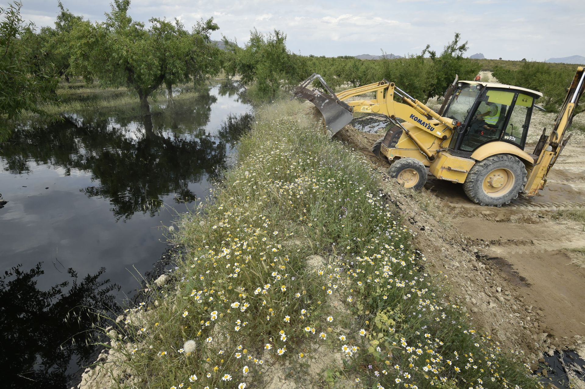 Las imágenes del vertido de petróleo en una finca de Calasparra