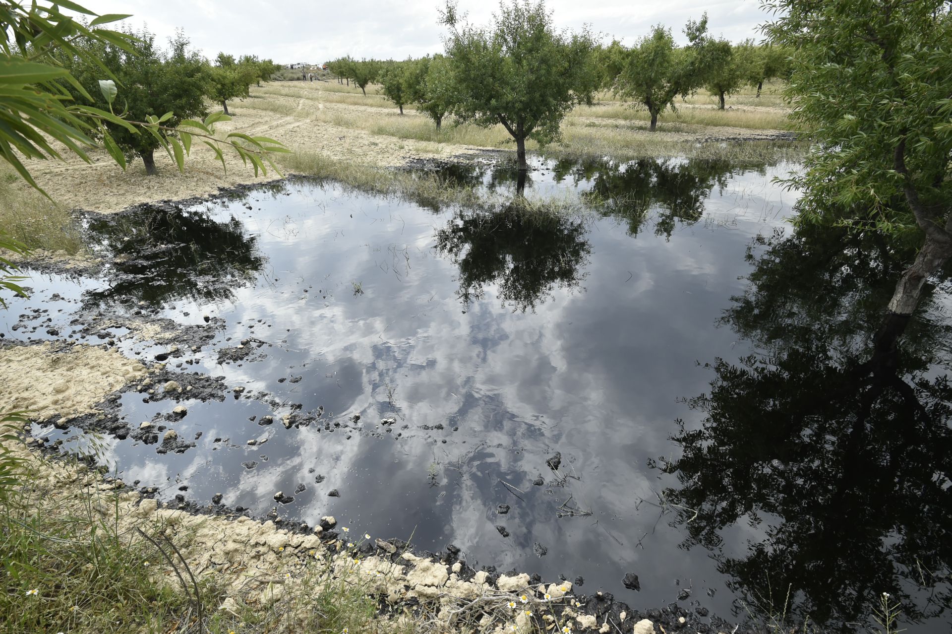 Las imágenes del vertido de petróleo en una finca de Calasparra