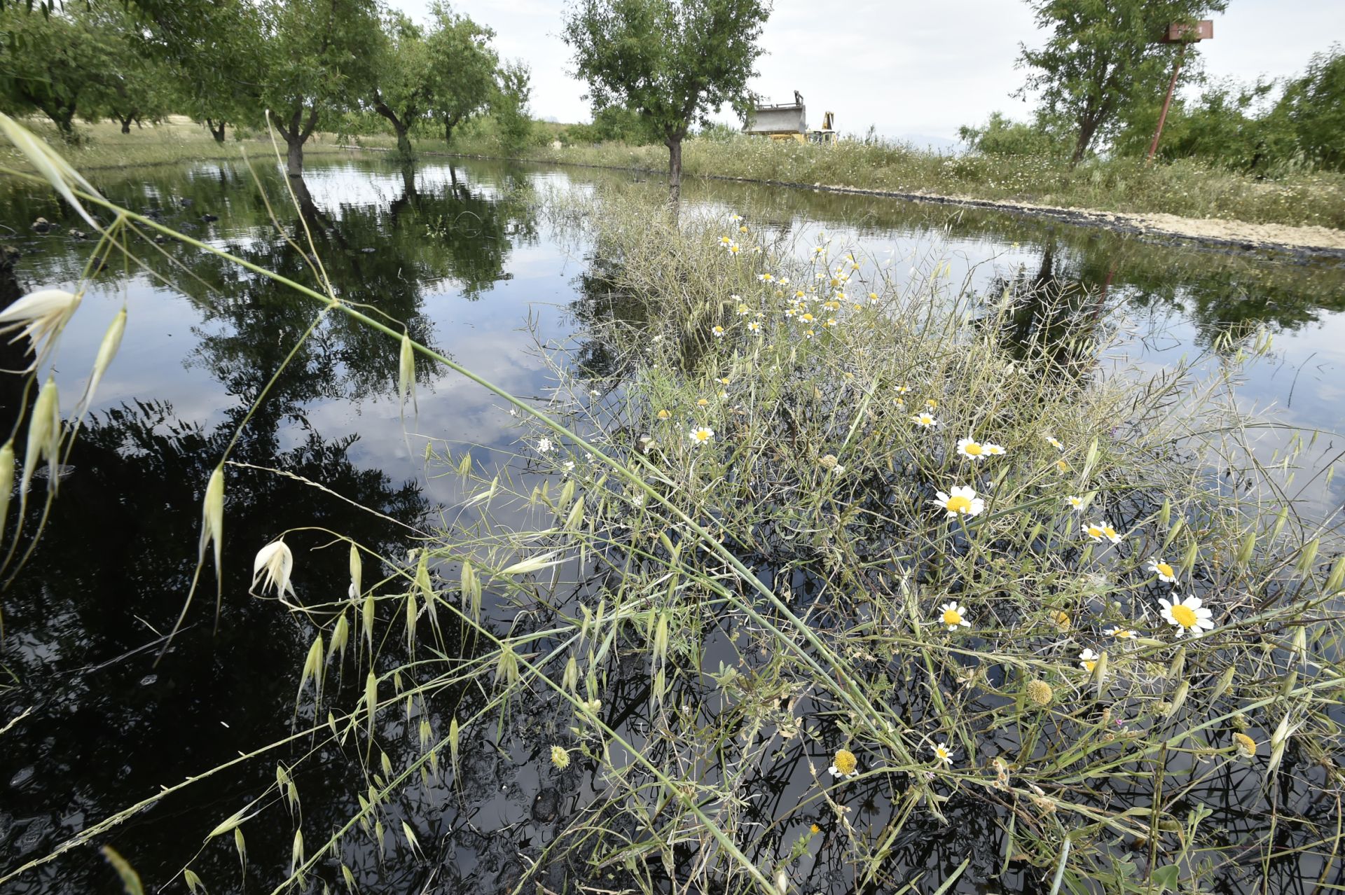 Las imágenes del vertido de petróleo en una finca de Calasparra
