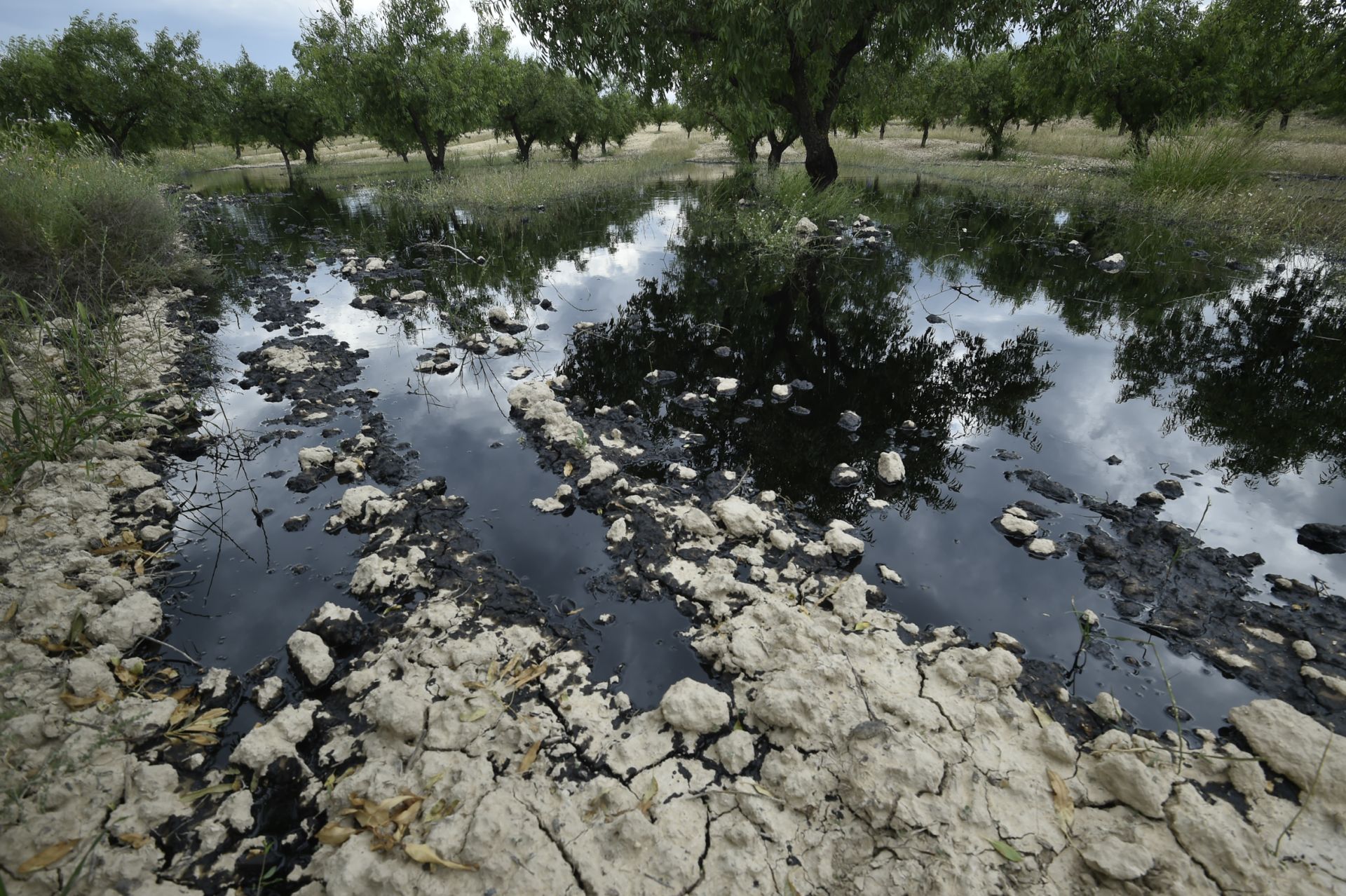 Las imágenes del vertido de petróleo en una finca de Calasparra