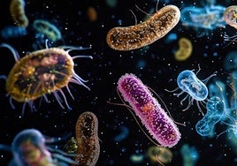 El curioso mundo de los microbios