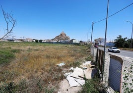 Terrenos ubicados junto a la carretera de Alicante, incluidos dentro de la nueva urbanización.