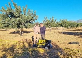 Ensayo en un terreno agrícola de Fuente Álamo.