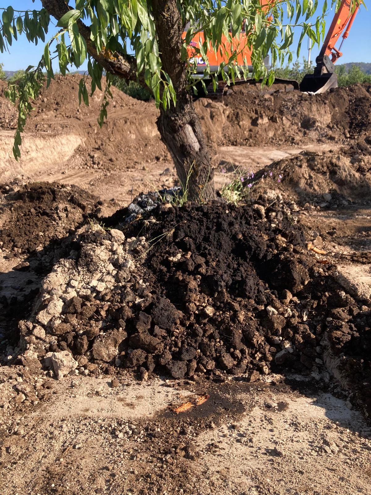 El petróleo vertido se infiltra dos metros en la finca de Calasparra