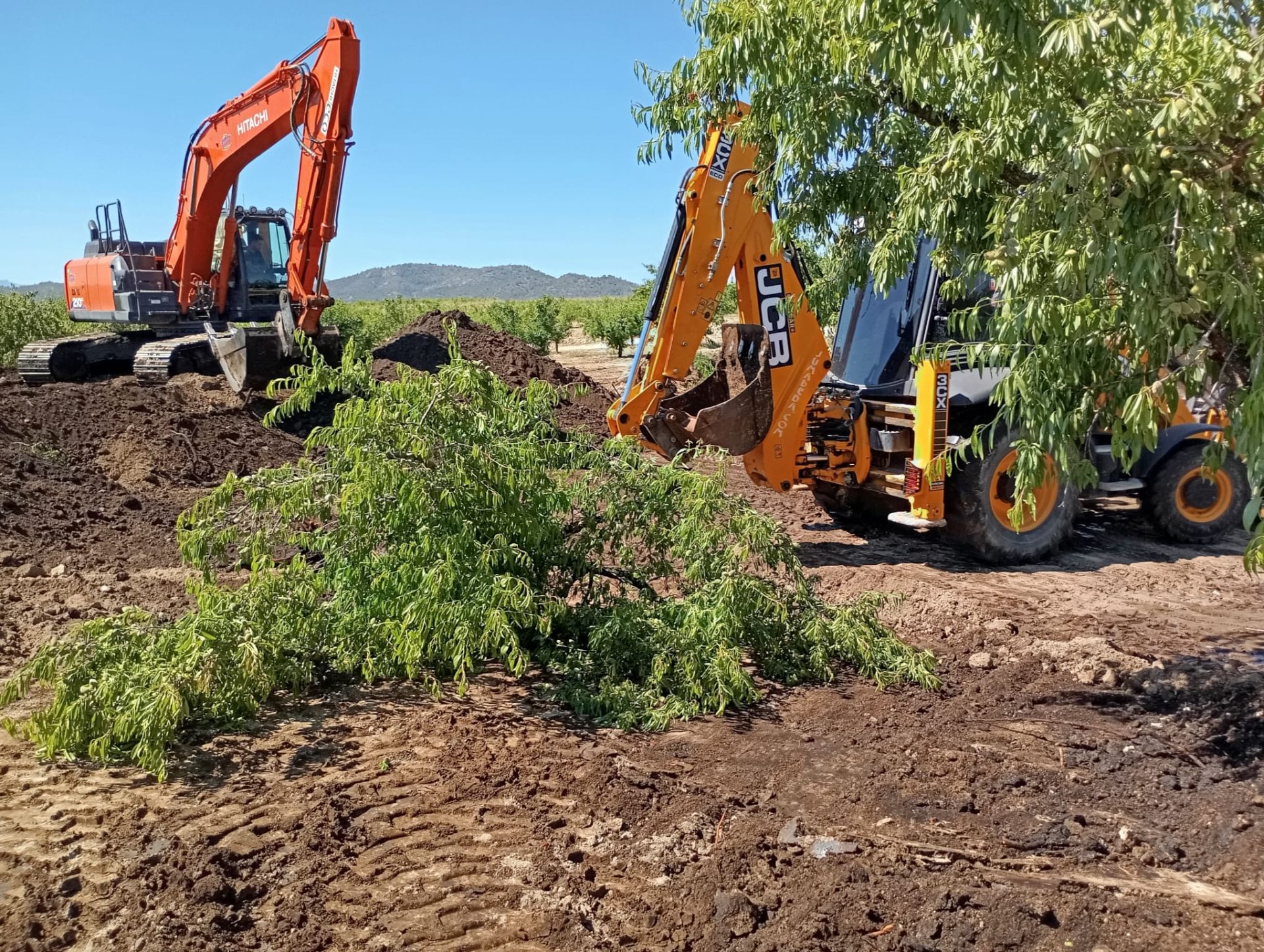 El petróleo vertido se infiltra dos metros en la finca de Calasparra