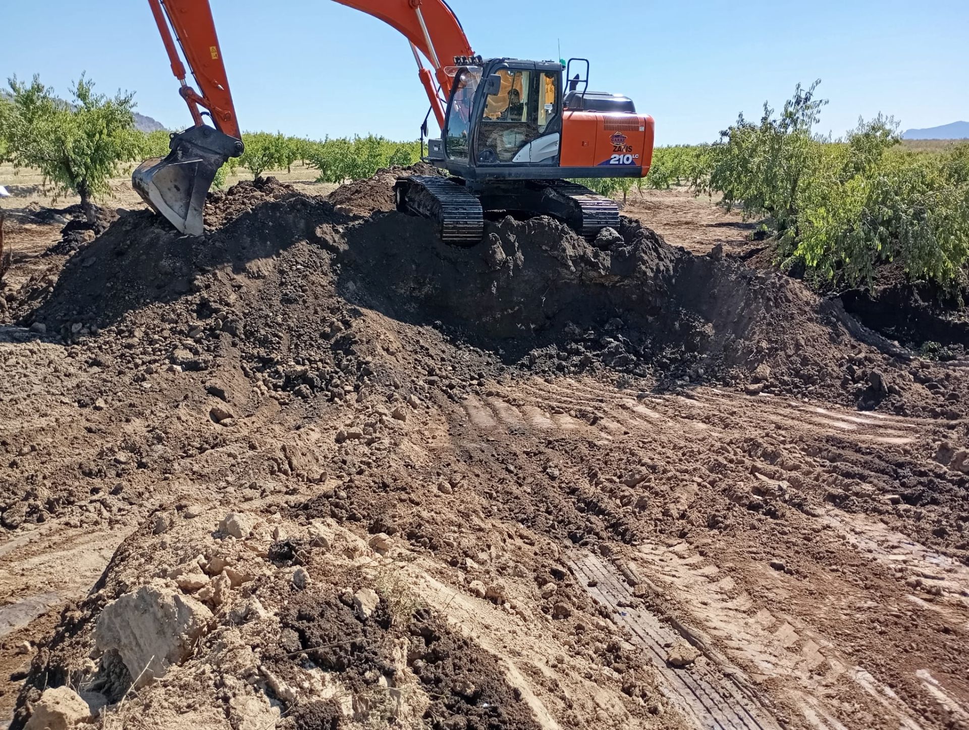 El petróleo vertido se infiltra dos metros en la finca de Calasparra