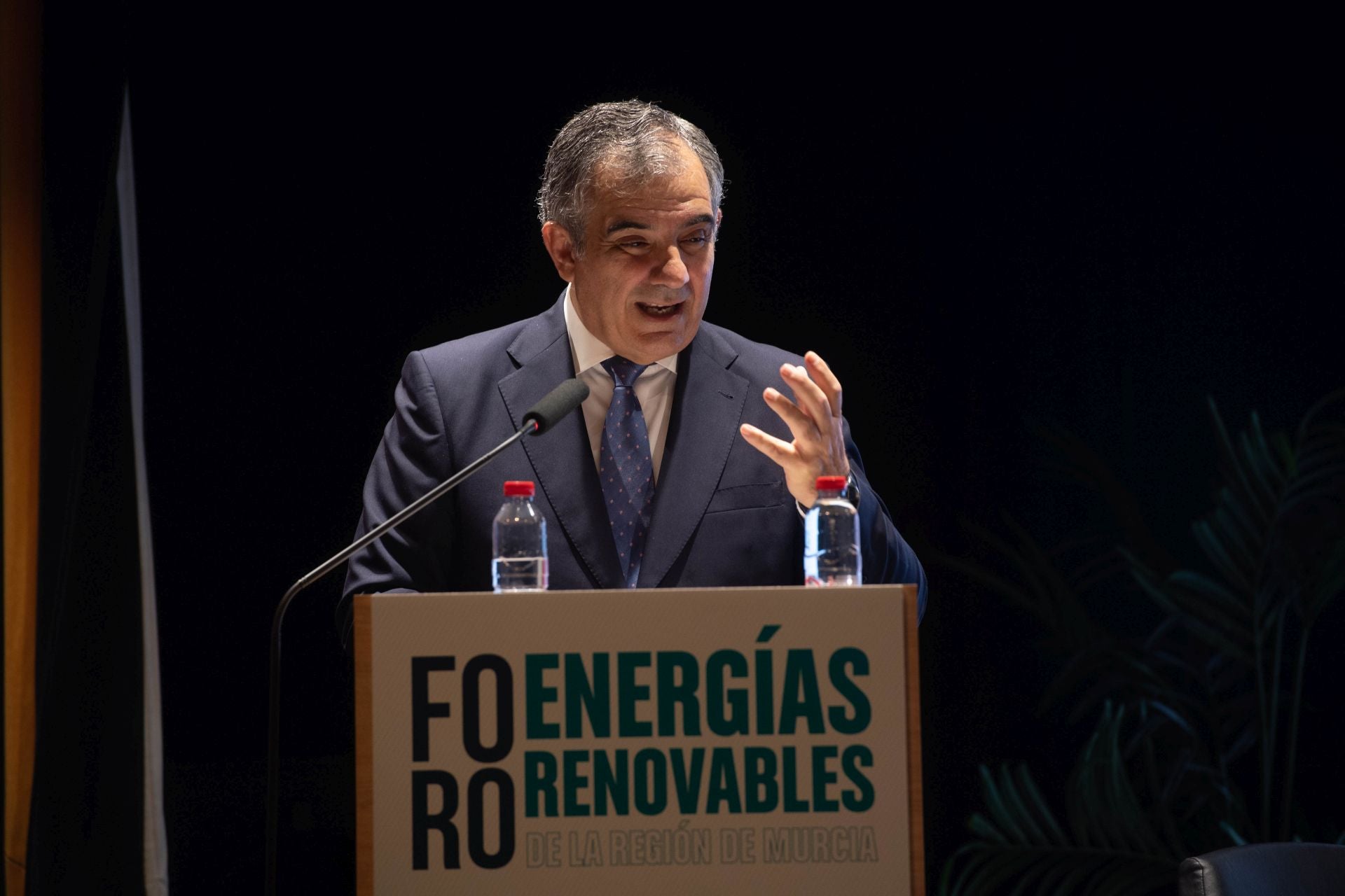 El foro sobre el impacto de las renovables en el modelo energético de la Región de Murcia, en imágenes