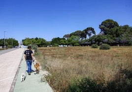 Zona de la pedanía de El Puntal en la que se prevé ubicar el nuevo centro de día de Proyecto Hombre.