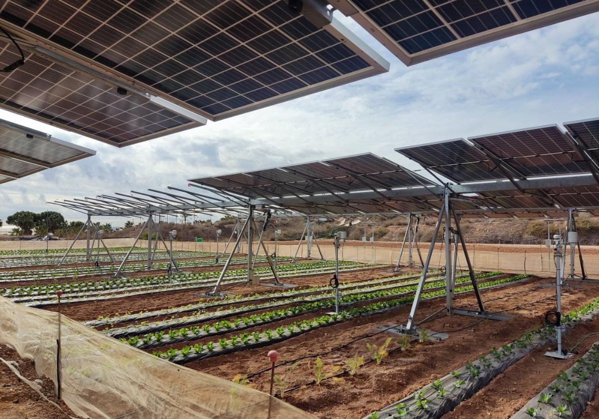 Una empresa vasca proyecta una planta solar en orihuela | la verdad