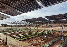 Paneles fotovoltaicos en una zona de cultivo, en una foto de archivo.