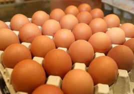 Huevos