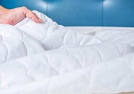 Imagen de archivo de un nórdico.