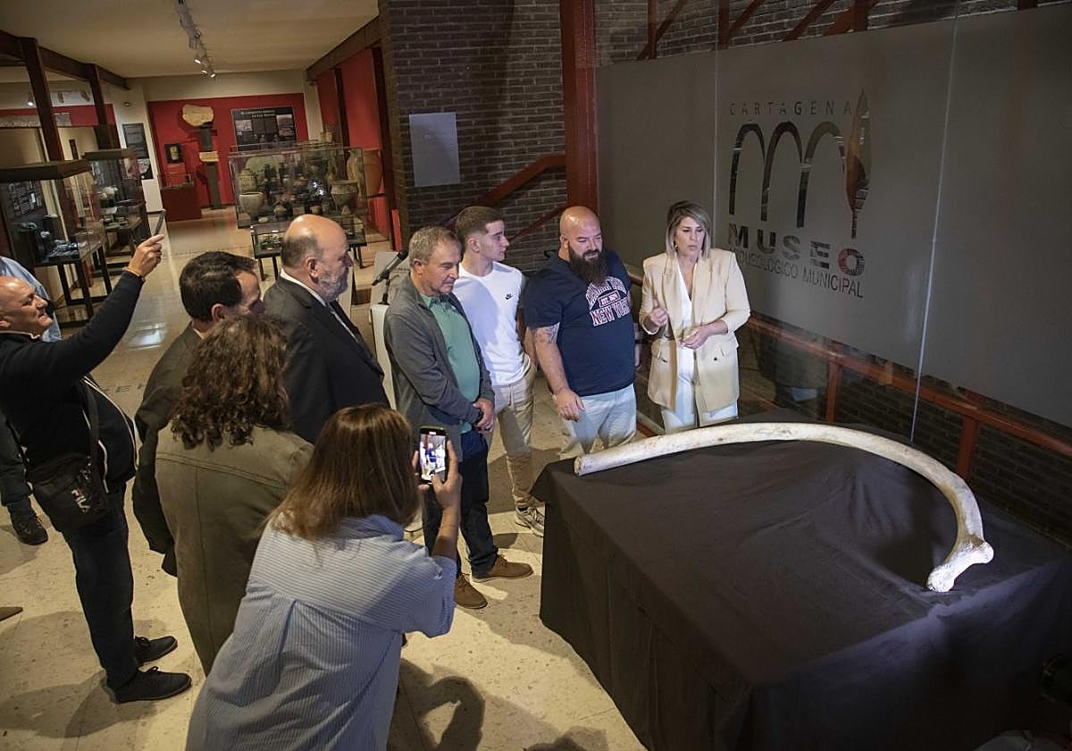 El supuesto hueso de mamut, durante su presentación en abril en el Museo Arqueológico.