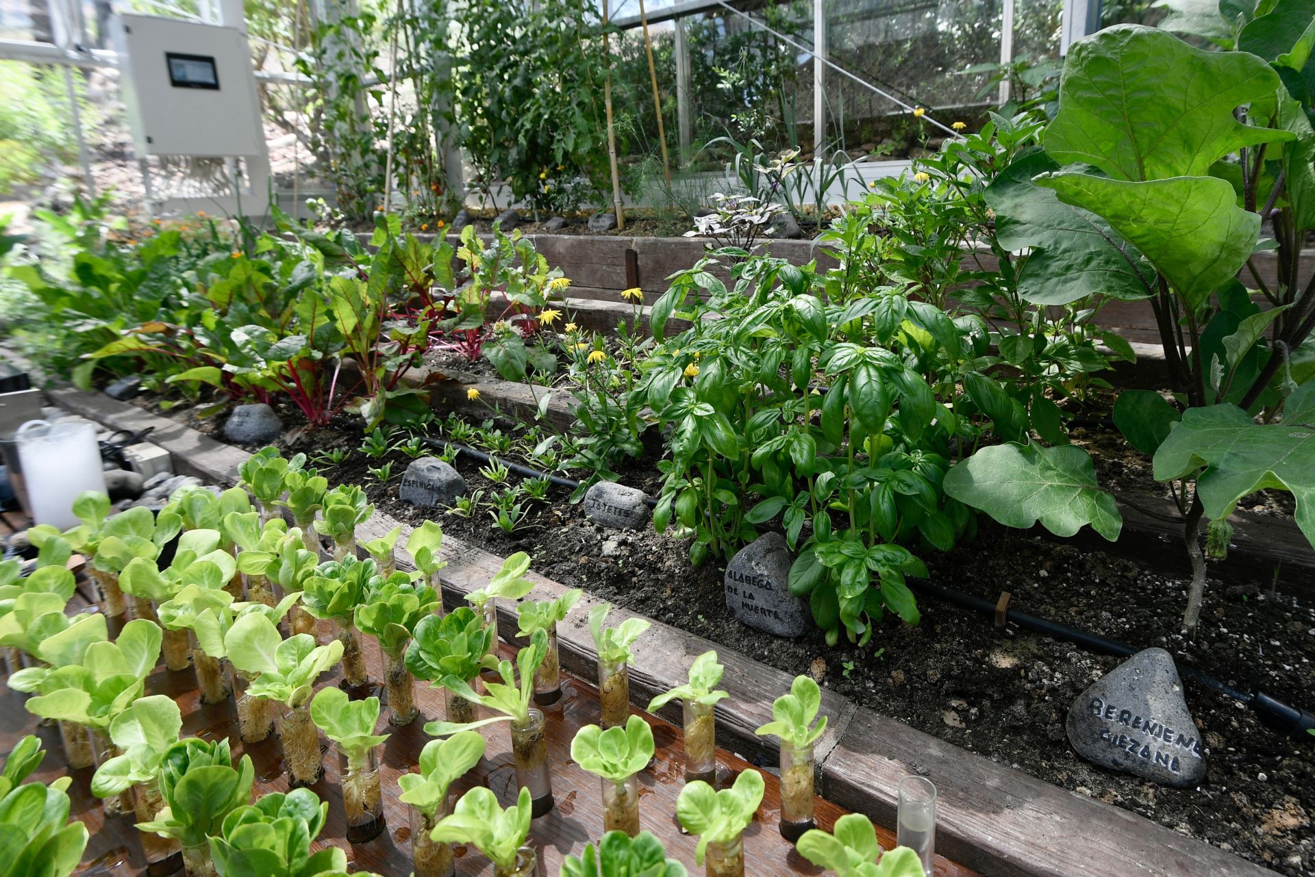 El &#039;Living lab&#039; del restaurante de Pablo González, en imágenes