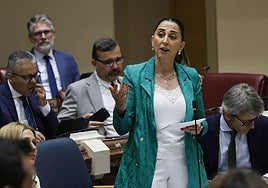 La consejera Sara Rubira, durante su intervención este viernes en la Asamblea Regional.