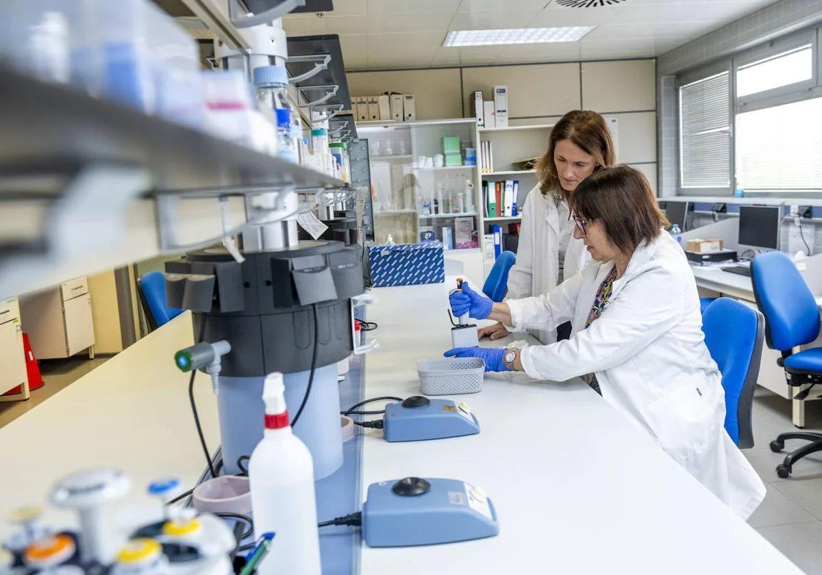 La región de murcia recibirá parte de las ayudas que el ministerio destinará a 123 proyectos españoles de i+d+i | la verdad