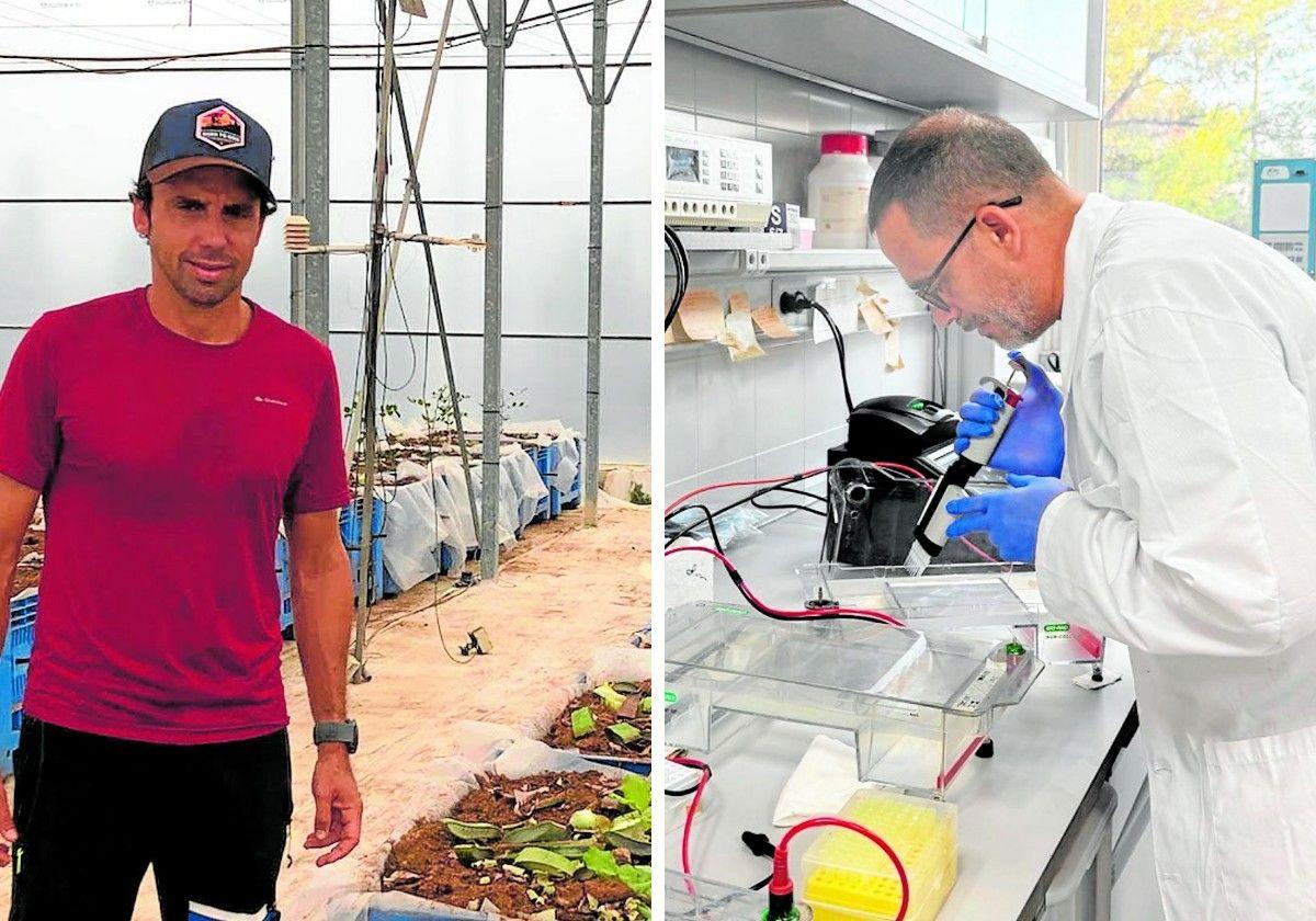 Dos murcianos investigarán en eeuu con las becas más prestigiosas del mundo | la verdad