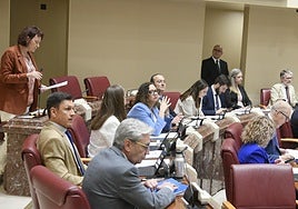 María Marín durante una de sus intervenciones en el Pleno de Asamblea de este martes