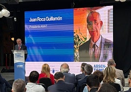 El presidente de Amat, Juan Roca Guillamón.