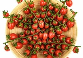 Tomates cherry.
