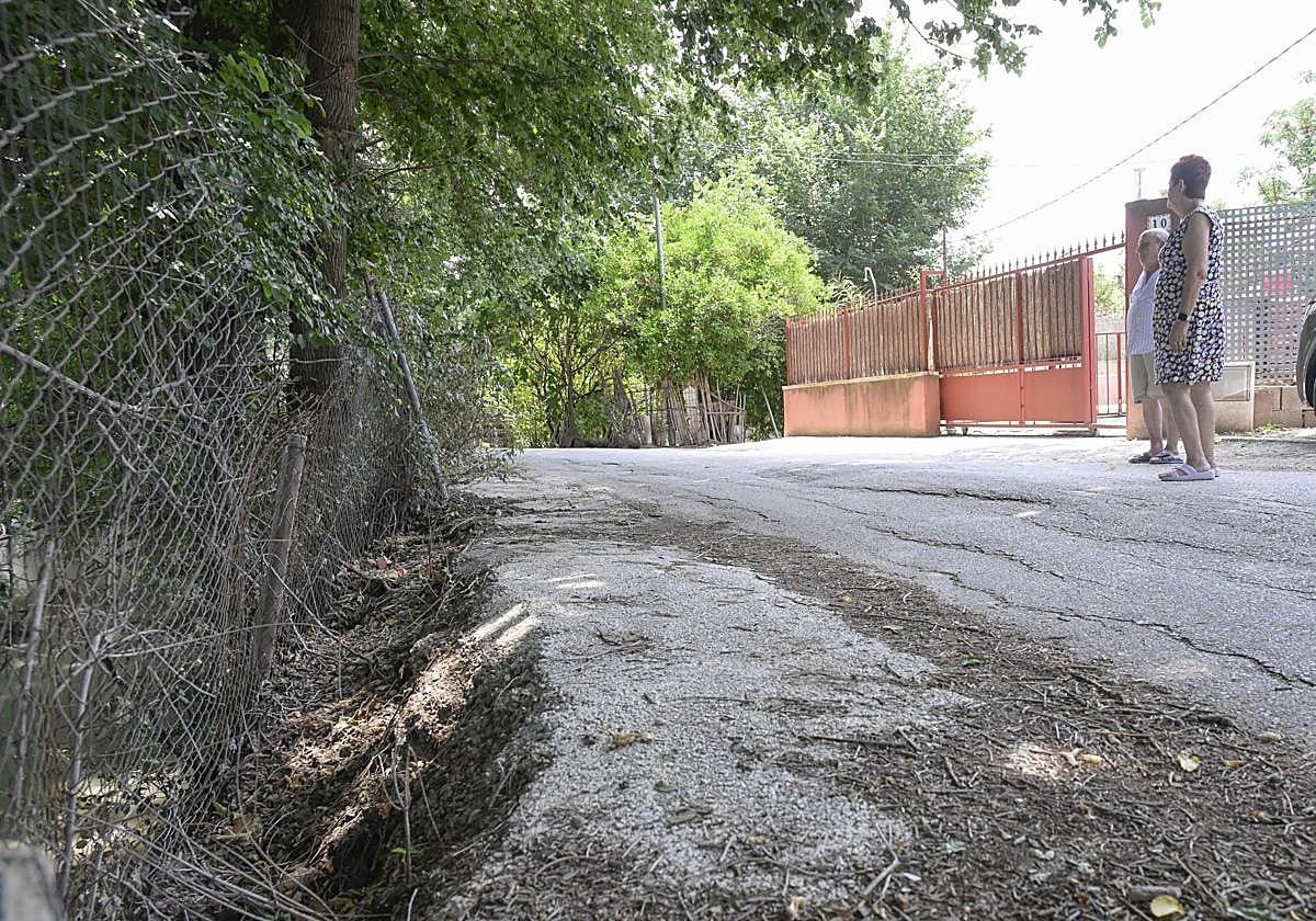 Desperfectos, falta de servicios y plagas en Aljucer, en imágenes