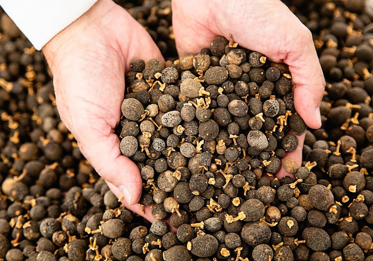 La empresa es líder en fabricación y comercialización de flavonoides cítricos y formas activas de vitaminas B12.