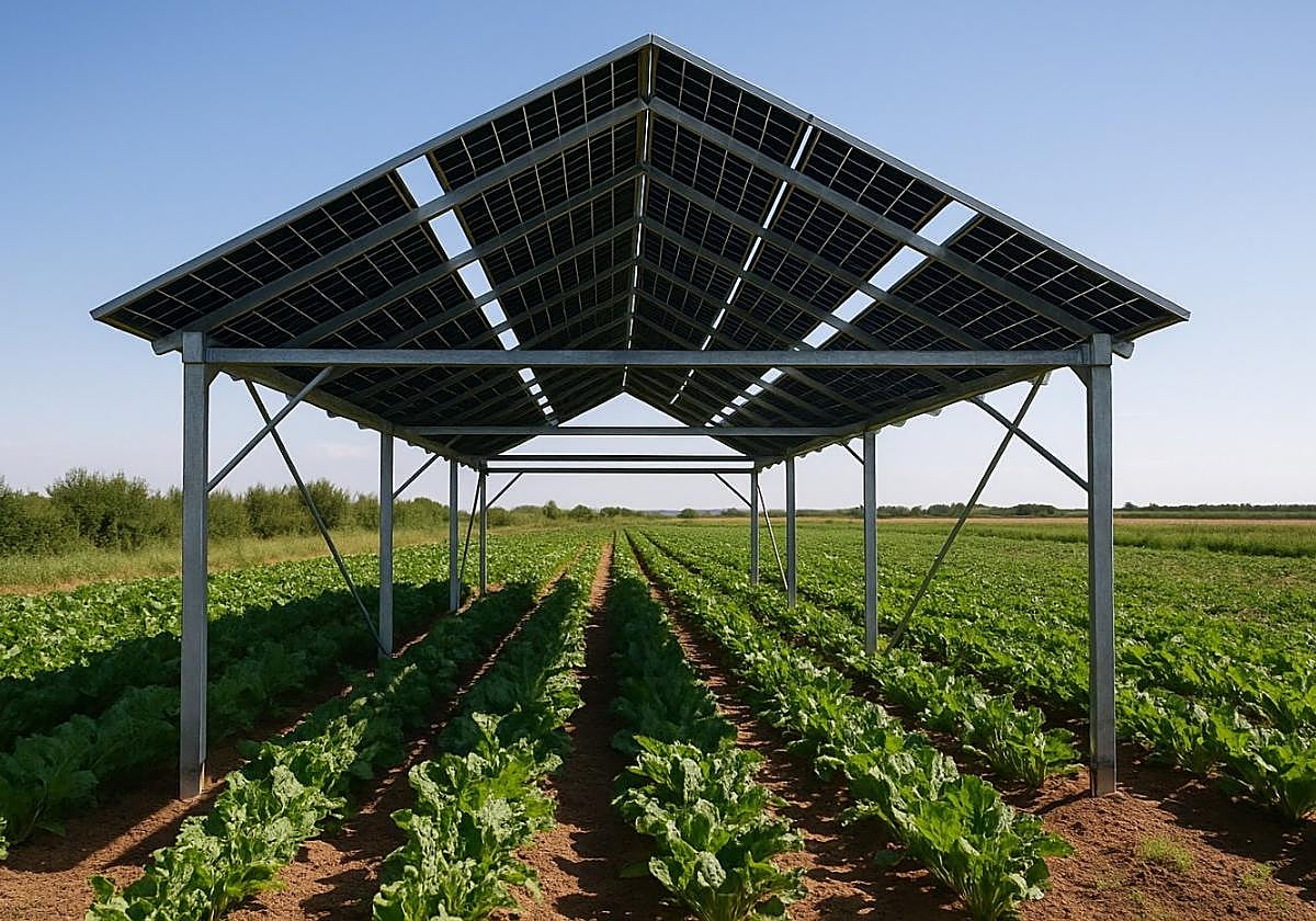 Imagen de referencia, que no corresponde al diseño definitivo del prototipo, pero representa una estructura similar a la planteada para el sistema agrovoltaico.