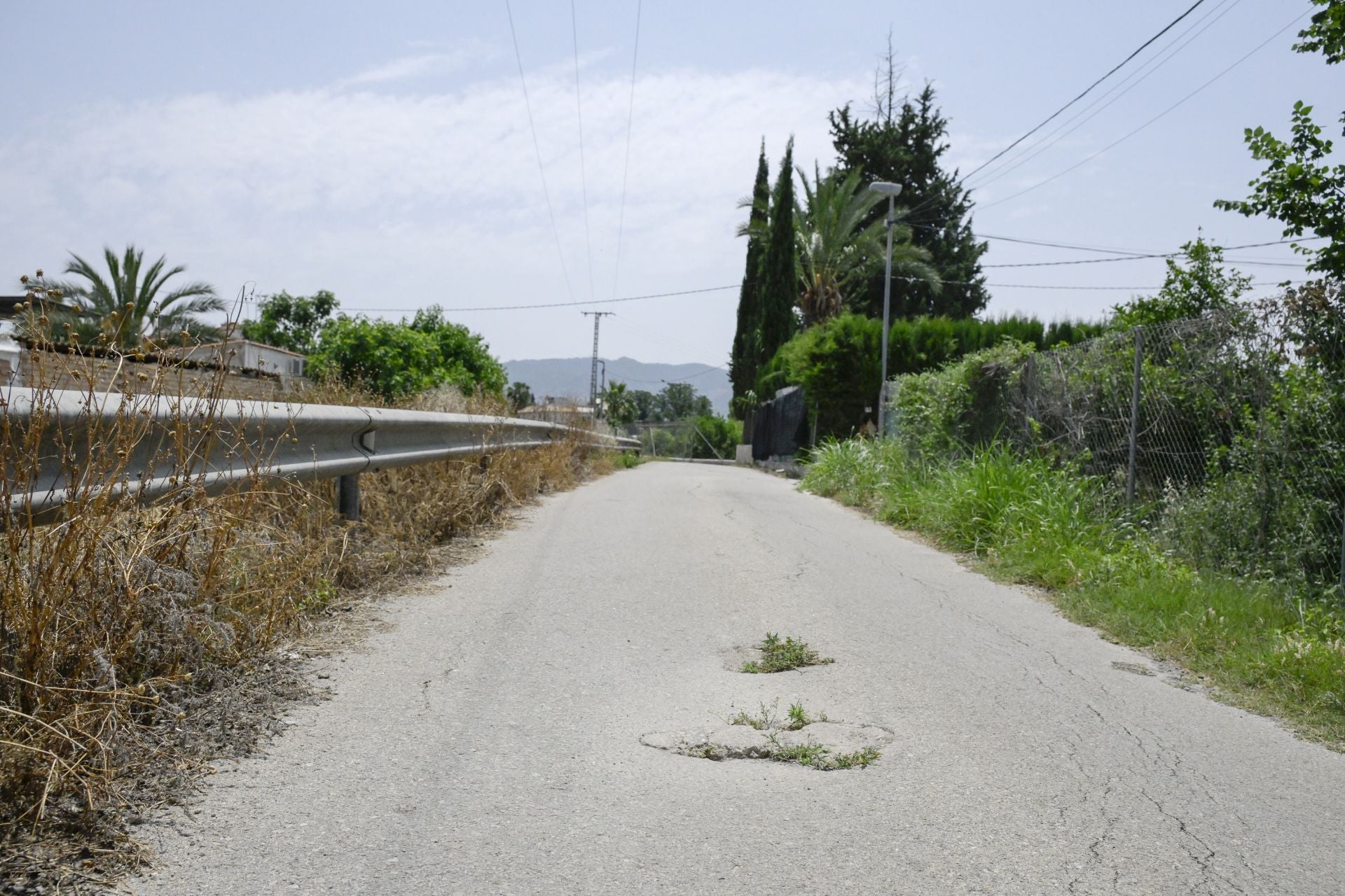 Desperfectos, falta de servicios y plagas en Aljucer, en imágenes