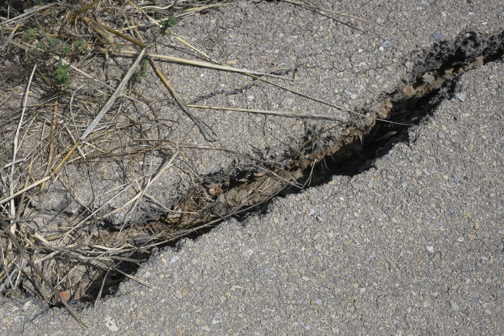 Desperfectos, falta de servicios y plagas en Aljucer, en imágenes