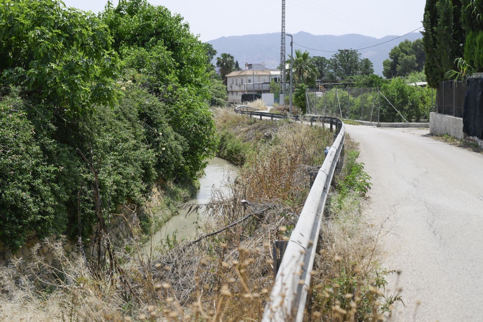 Desperfectos, falta de servicios y plagas en Aljucer, en imágenes