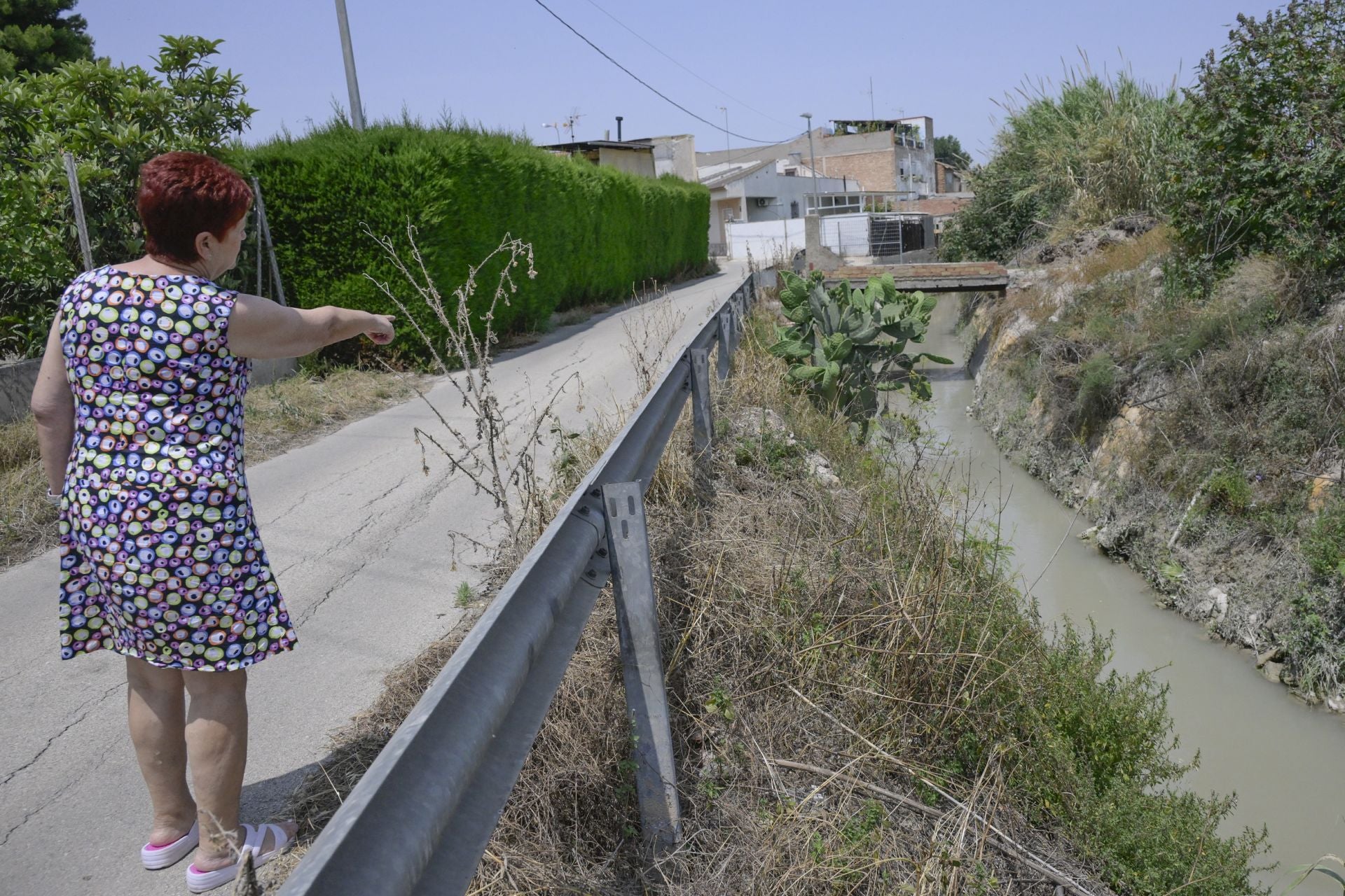 Desperfectos, falta de servicios y plagas en Aljucer, en imágenes